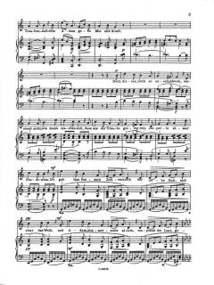 Wein, Weib und Gesang op. 333 von Johann Strauss (Sohn) 