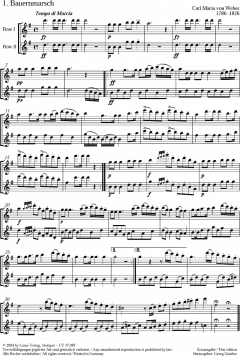 Freischütz-Bearbeitungen für zwei Flöten von Carl Maria von Weber im Alle Noten Shop kaufen (Partitur)
