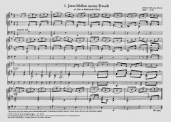 6 Orgelchoräle nach Kantatensätzen von Johann Sebastian Bach im Alle Noten Shop kaufen (Partitur)