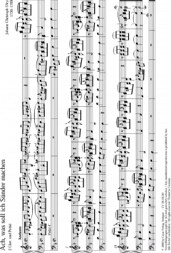 Sämtliche Choralvorspiele für Orgel Band 2 von Johann Christoph Oley im Alle Noten Shop kaufen
