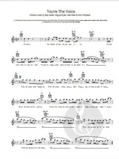 You're The Voice von John Farnham 