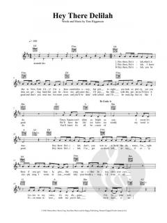 Hey There Delilah von Plain White T's 