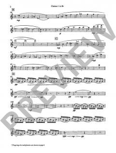 Three Elegies for Nine Clarinets von Gavin Bryars (Download) 