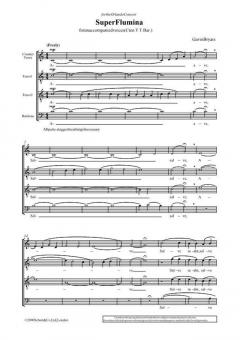 Super Flumina von Gavin Bryars (Download) 