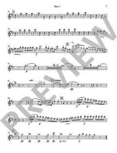 Wolf-Gang von Steve Martland (Download) 