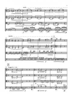 In My Craft Or Sullen Art von Huw Watkins (Download) 