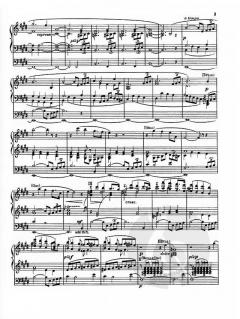 Siegfried-Idyll von Richard Wagner (Download) 