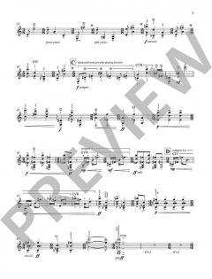 Catalan Peasant with Guitar von Julian Anderson (Download) 