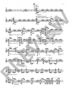 Catalan Peasant with Guitar von Julian Anderson (Download) 