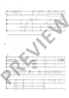 The Imaginary Museum von Julian Anderson (Download) 