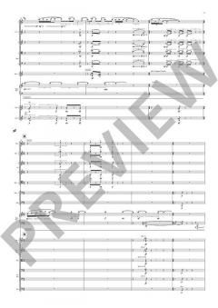 The Imaginary Museum von Julian Anderson (Download) 