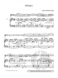 Die klassische Geige 