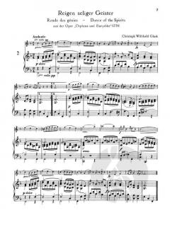 Die klassische Geige 