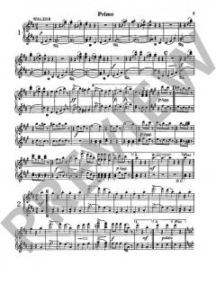 Meine Strauss-Walzer von Johann Strauss (Sohn) (Download) 