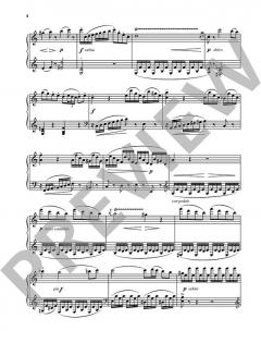 Kadenzen von Wolfgang Amadeus Mozart (Download) 