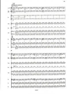 The Enchanted Wanderer von Rodion Konstantinowitsch Schtschedrin (Download) 