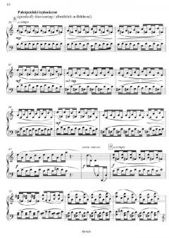 Die Jahreszeiten 3: Grüne Landschaft - Sommer von Peteris Vasks (Download) 