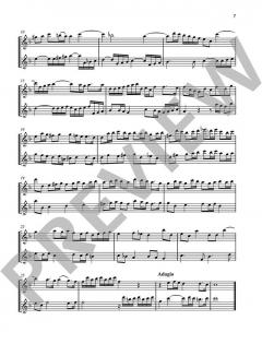 Schott Blockflöten-Bibliothek (Download) im Alle Noten Shop kaufen