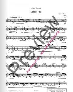 Soleil-Feu von Thierry Pecou (Download) 