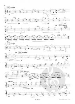 Castillo Interior von Peteris Vasks (Download) 