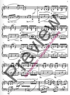 Ses op. 40b von Fazil Say (Download) 