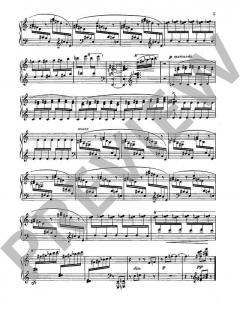 Der Zirkus von Joaquin Turina (Download) 