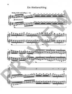 2 Elefanten, die sich gut kannten von Elisabeth Naske (Download) 