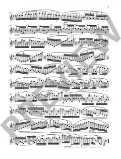 20 études brillantes et caractéristiques op. 73 von Charles Jean-Baptiste Dancla (Download) 