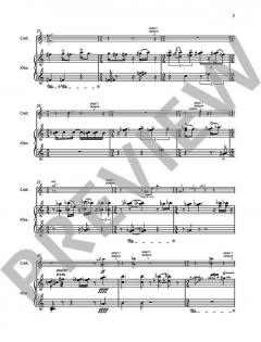 Wandrers Nachtlied von Jörg Widmann (Download) 