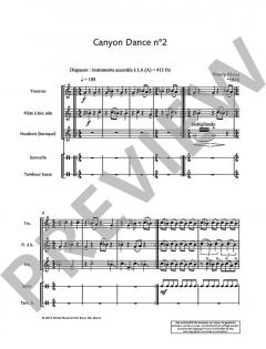 Canyon Dance 2 von Thierry Pecou (Download) 