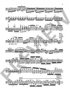 Kadenzen Hob. VIIb:1 von Jörg Widmann (Download) 