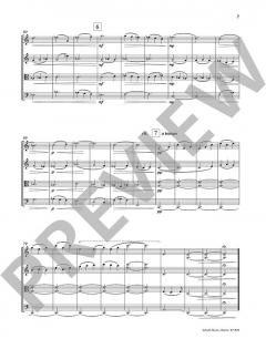 The Fruit of Silence von Peteris Vasks (Download) 