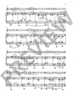 Our Lady's Minstrel von Naji Hakim (Download) 