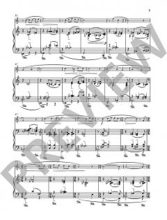 Our Lady's Minstrel von Naji Hakim (Download) 