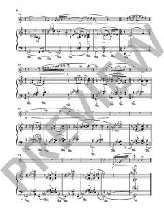 Our Lady's Minstrel von Naji Hakim (Download) 