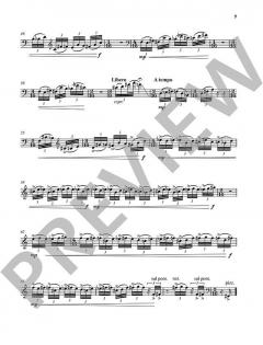 25 movimenti von Nicholas Lens (Download) 