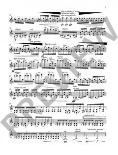 Violin Spaces 1 von Garth Knox (Download) im Alle Noten Shop kaufen