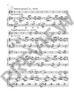 Gezi Park 3 op. 54b von Fazil Say (Download) 