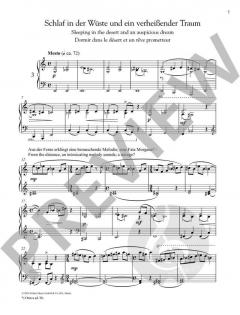 Der kleine Prinz von Peter Wittrich (Download) 