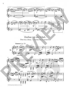 Der kleine Prinz von Peter Wittrich (Download) 