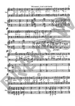 Die schwarze Spinne von Heinrich Sutermeister (Download) 