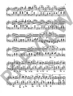 Ausgewählte Klavierwerke Band 2 von Frédéric Chopin (Download) im Alle Noten Shop kaufen