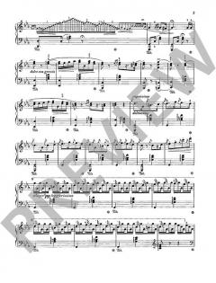 Ausgewählte Klavierwerke von Franz Liszt (Download) im Alle Noten Shop kaufen