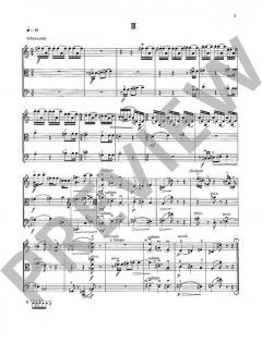 Divertimento von Gustav Lenzewski (Download) 