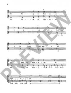 Dampflok-Story von Reimund Hess (Download) 