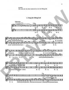 Dampflok-Story von Reimund Hess (Download) 