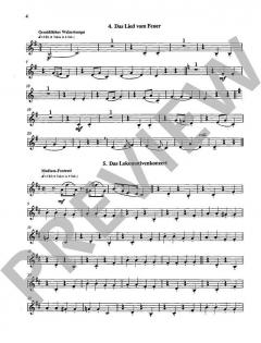 Dampflok-Story von Reimund Hess (Download) 