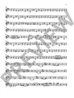 Dampflok-Story von Reimund Hess (Download) 