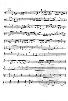 Konzert Nr. 2 d-Moll op. 22 von Henryk Wieniawski (Download) 