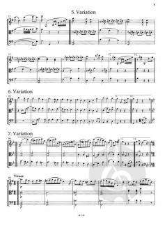 Variationen über 's Deandl is harb auf mi von Richard Strauss (Download) 